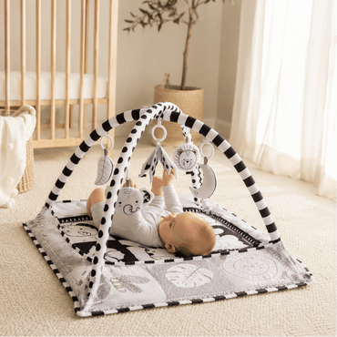 PlayArch — Baby Play Mat with Hanging Toys