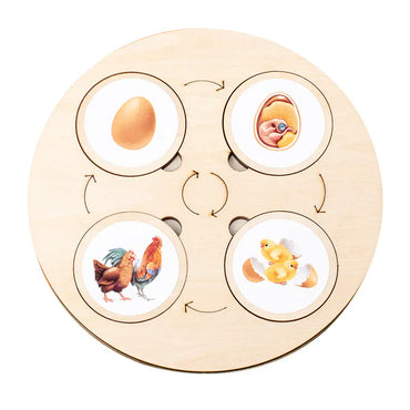 Montessori Wooden Animal Life Cycle Puzzle for Kids