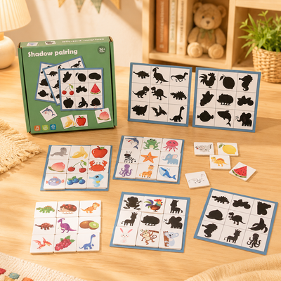 Shadow pairing educational toy set