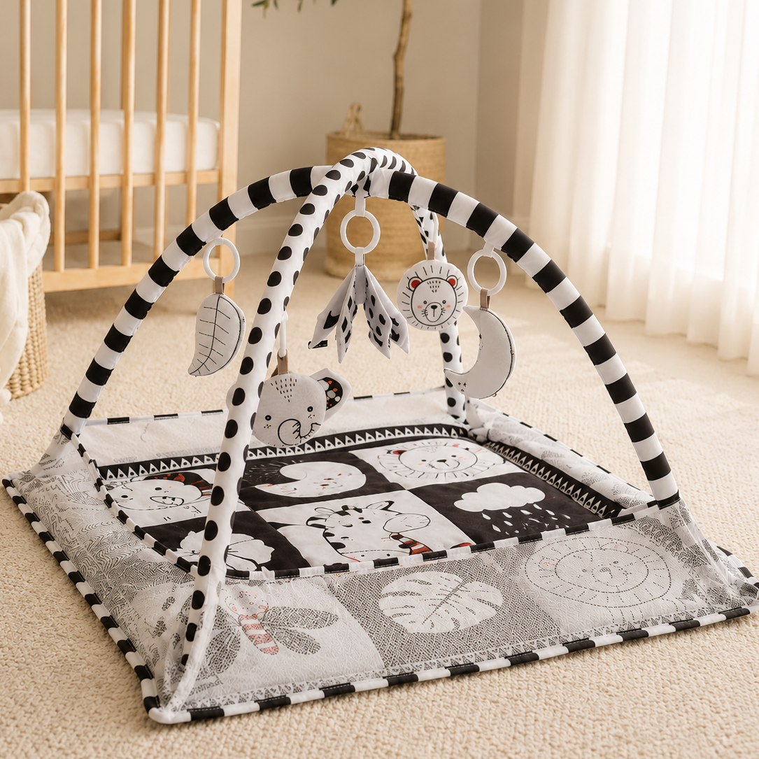 PlayArch — Baby Play Mat & Activity Gym with Hanging Toys