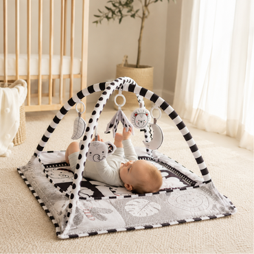 PlayArch — Baby Play Mat  with Hanging Toys