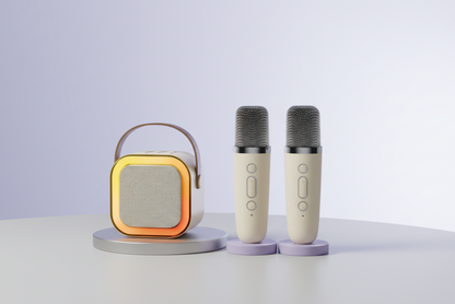 Wireless Bluetooth Karaoke Set