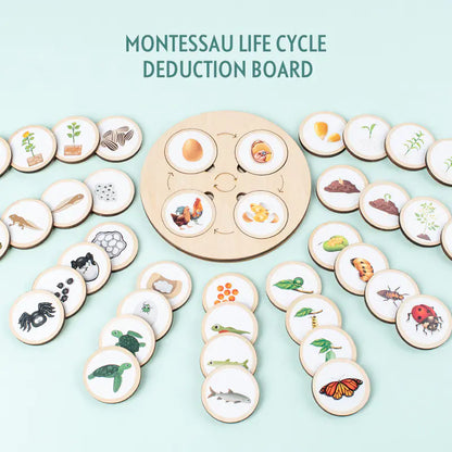 Montessori Wooden Animal Life Cycle Puzzle for Kids
